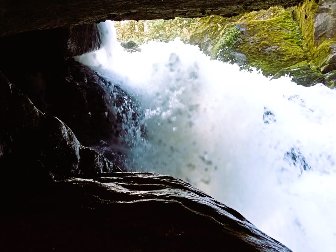 Río Savegre: agua que corre; vida que fluye