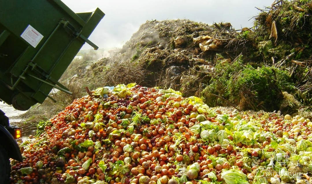 Desperdicio de alimentos