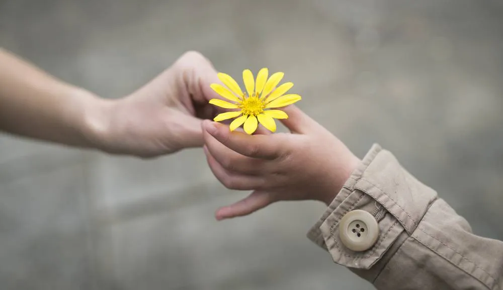 La bondad, esencia de luz interna en el ser humano
