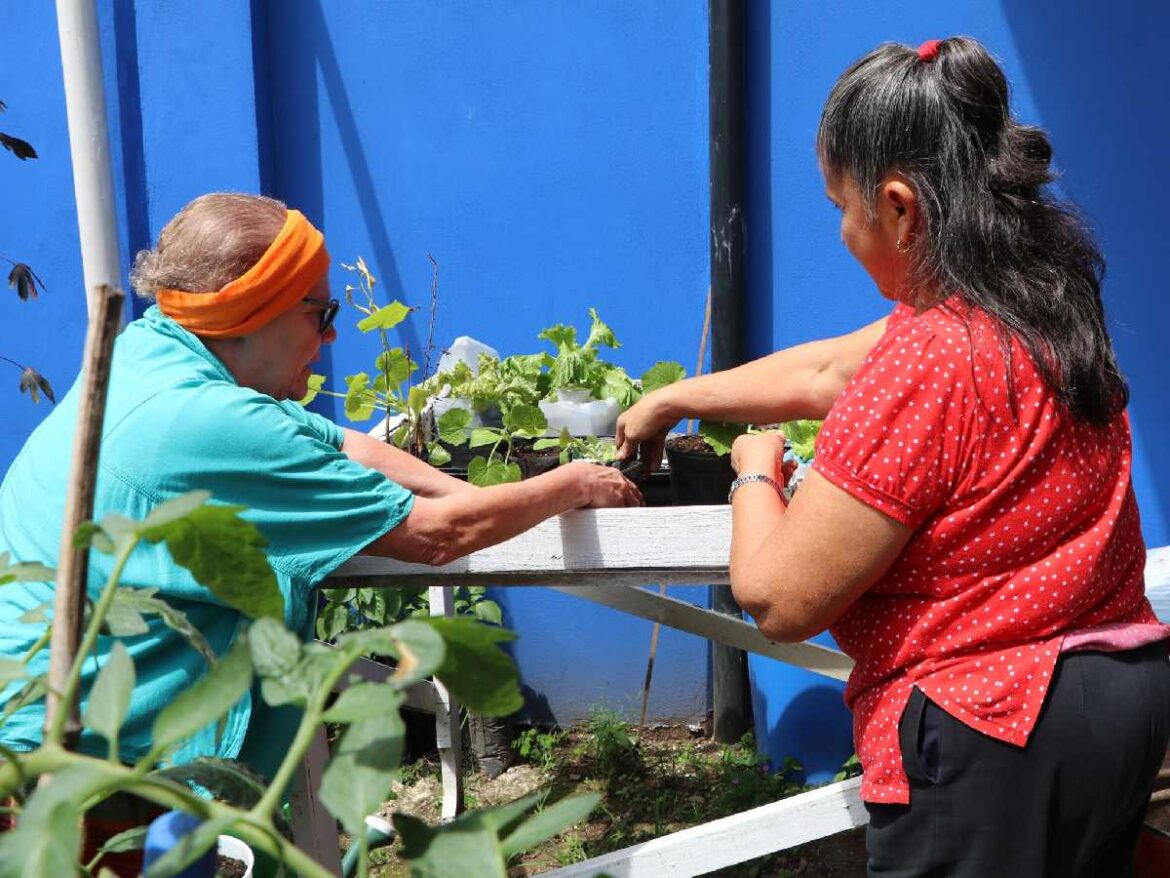 AGECO ofrecerá nuevos cursos en tercera matrícula del año