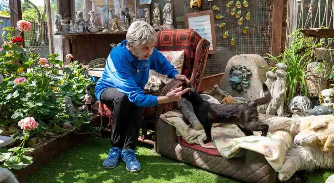 Mujer de 90 años salva a más de 10.000 animales y no piensa jubilarse