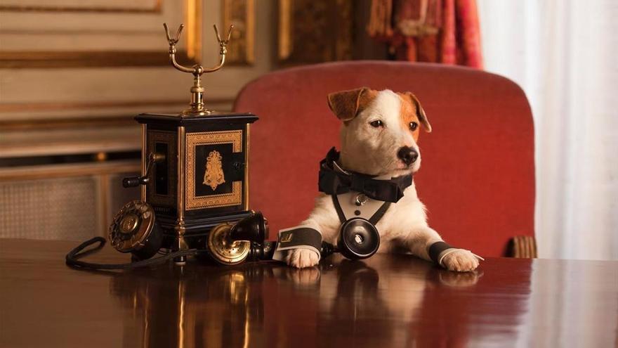 Un premio a la mejor actuación canina: animales fantásticos.