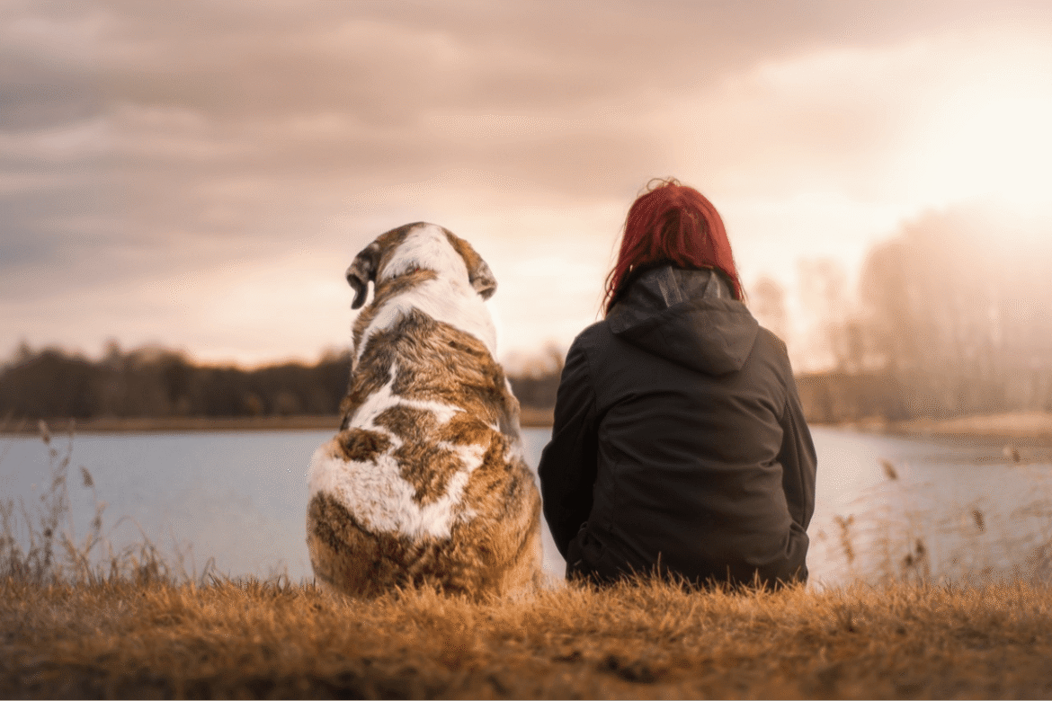 ¿Permiso laboral por muerte de nuestras mascotas?