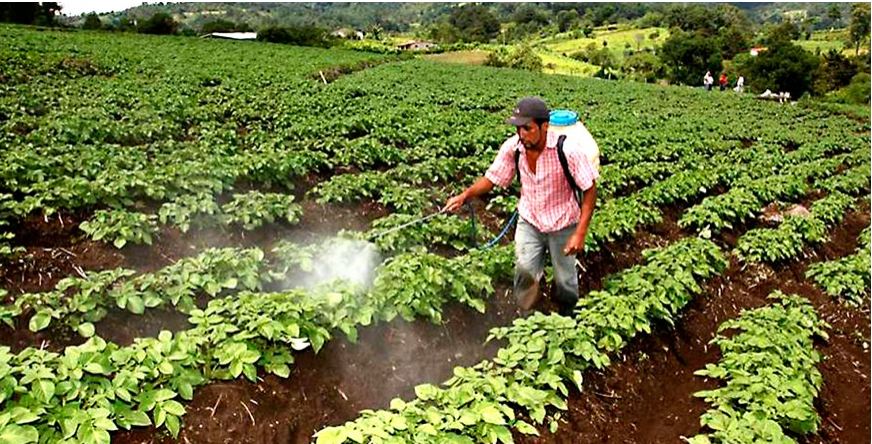 El agro, riesgoso pero necesario