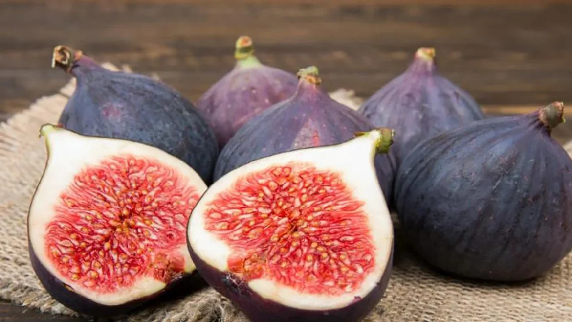 El higo: una joya natural del Mediterráneo