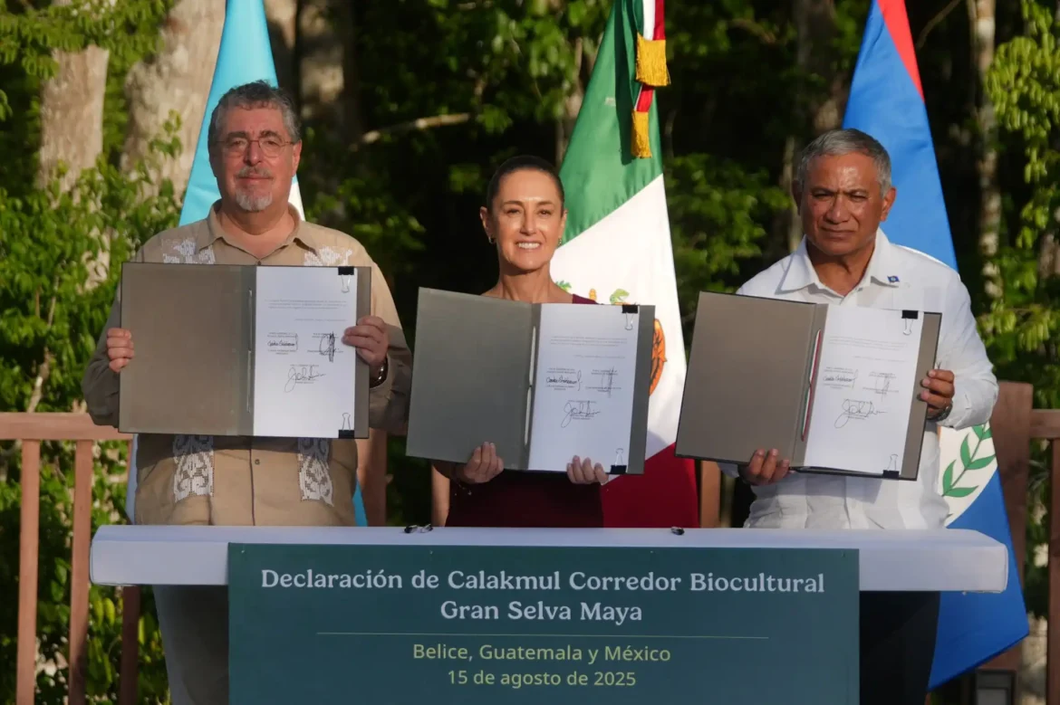Tres países se unen para proteger la Gran Reserva Maya