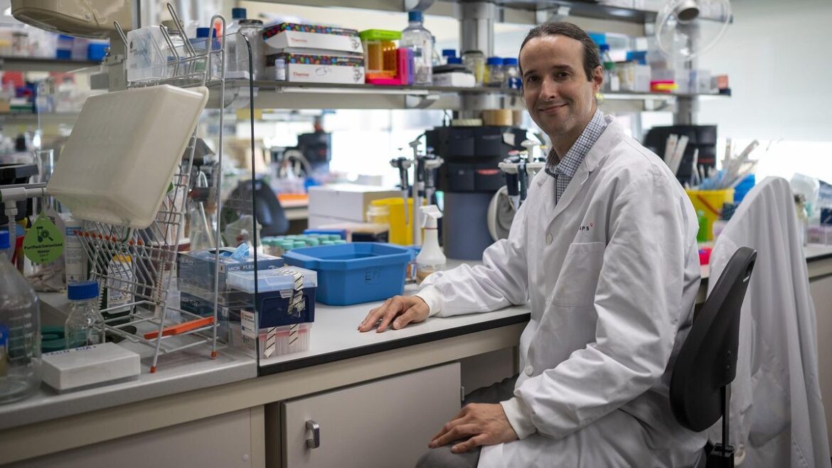 Un nuevo análisis permite anticipar la evolución del cáncer