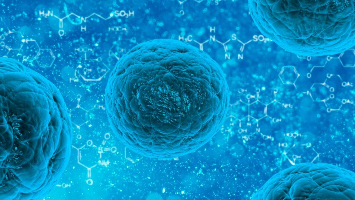 Nanocuerpos para atacar las células de cáncer de pulmón