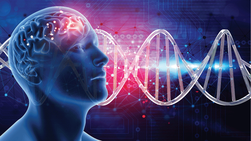 ¿Con qué se come el “intelectual»?