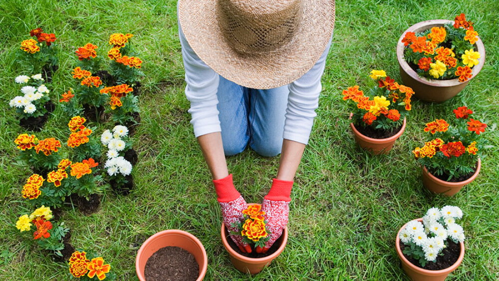 ¿Quiere vivir más años? La respuesta podría estar en su jardín