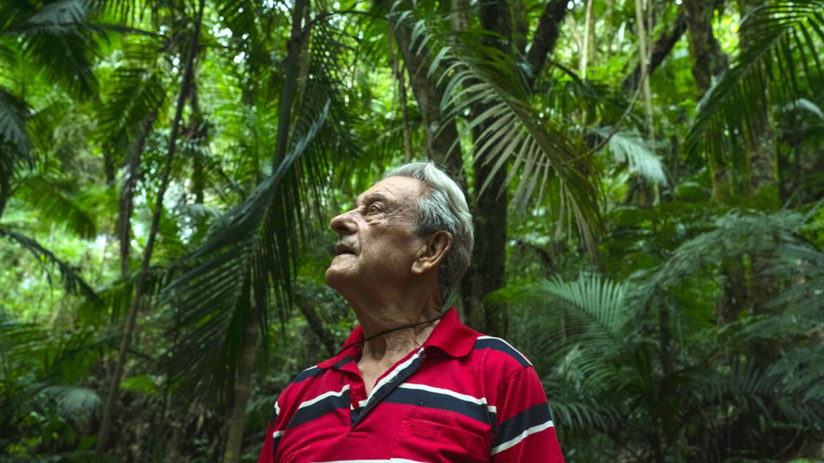 Una selva personal