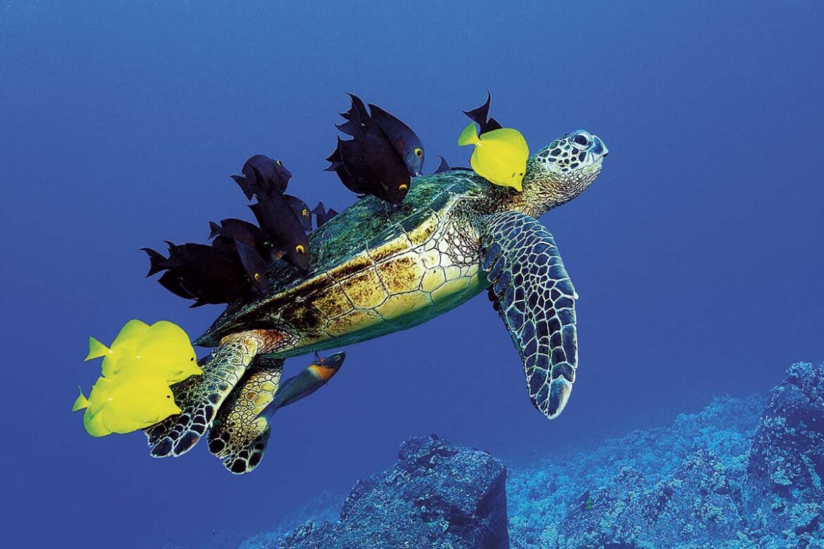 Las 7 maravillas naturales de América según National Geographic