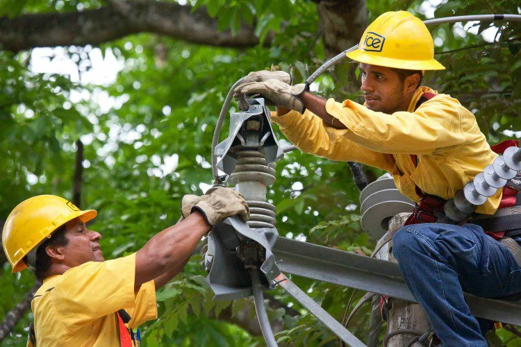 Desmantelamiento sistemático del ICE