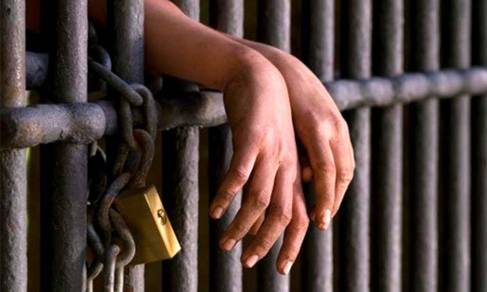 Seguridad, educación y salud